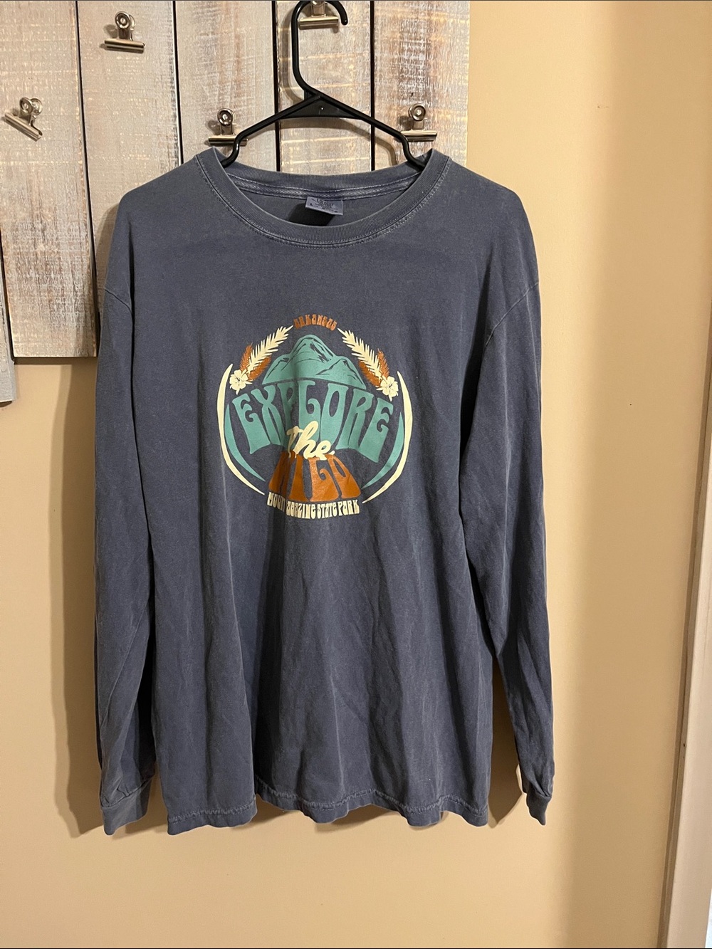 Comfort Colors Men's Long Sleeve Graphic Tee - Blue
